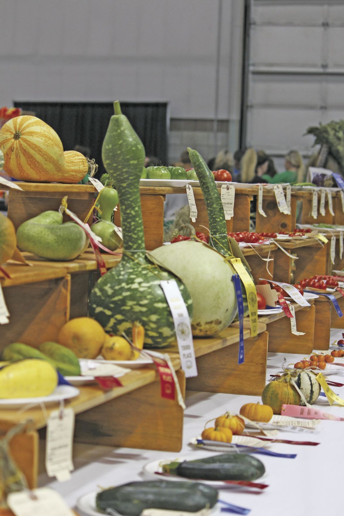 Claim your bragging rights at the Rogers County Fair